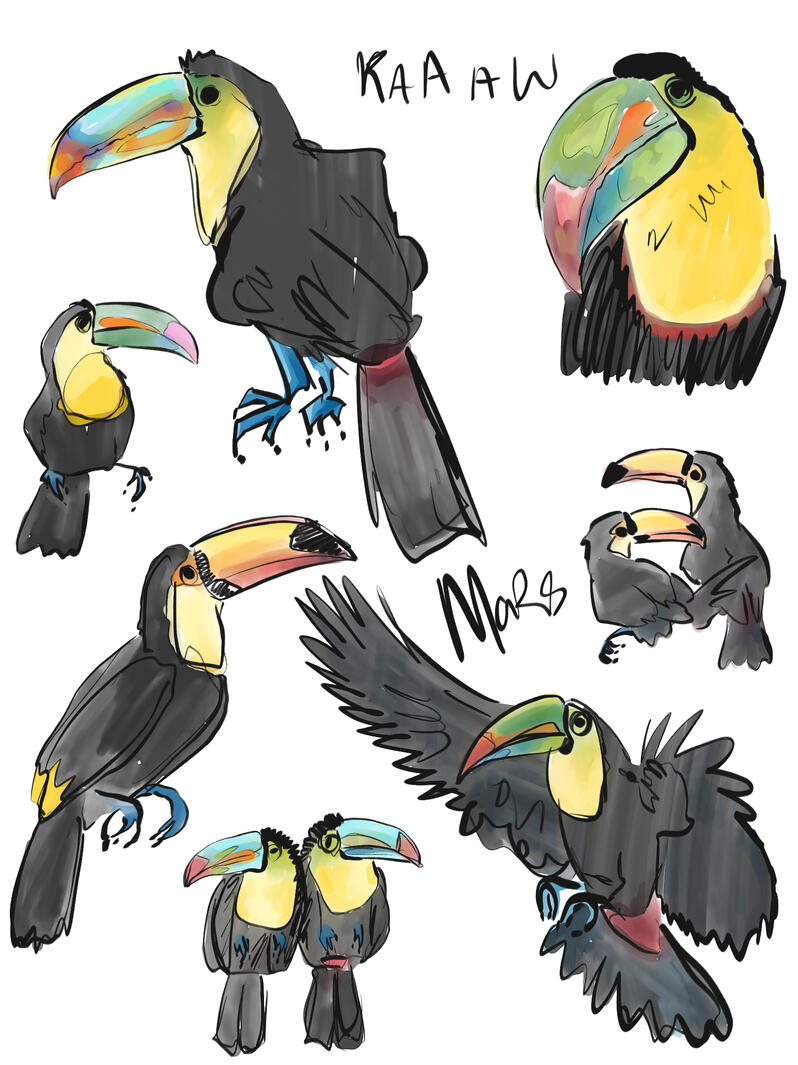 Silly Toucans